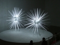 Terence Koh Neon - Krypton Neon